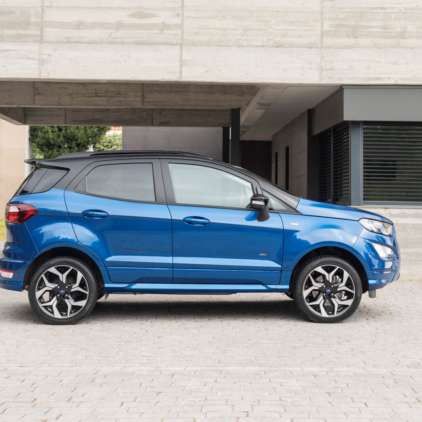 EcoSport3 02