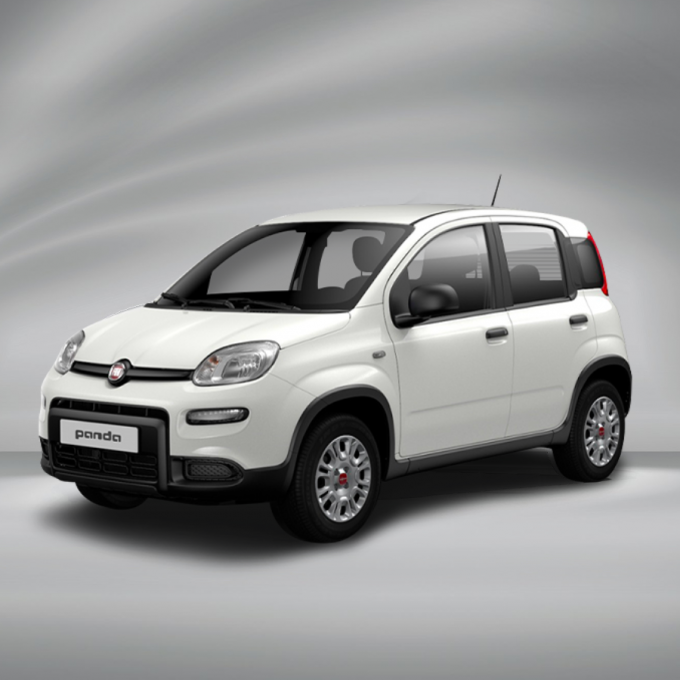 Fiat Panda widget