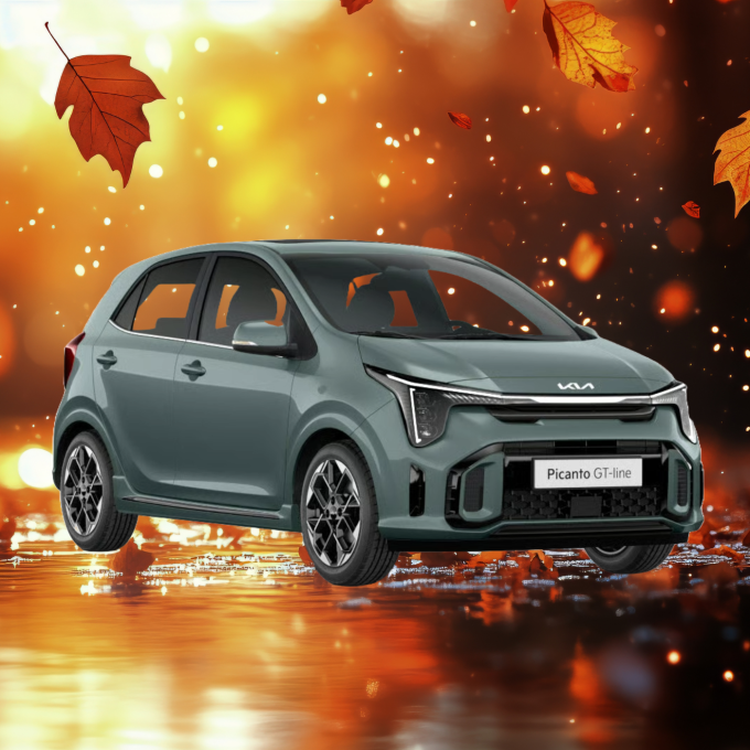 Inruildeal Picanto (1)