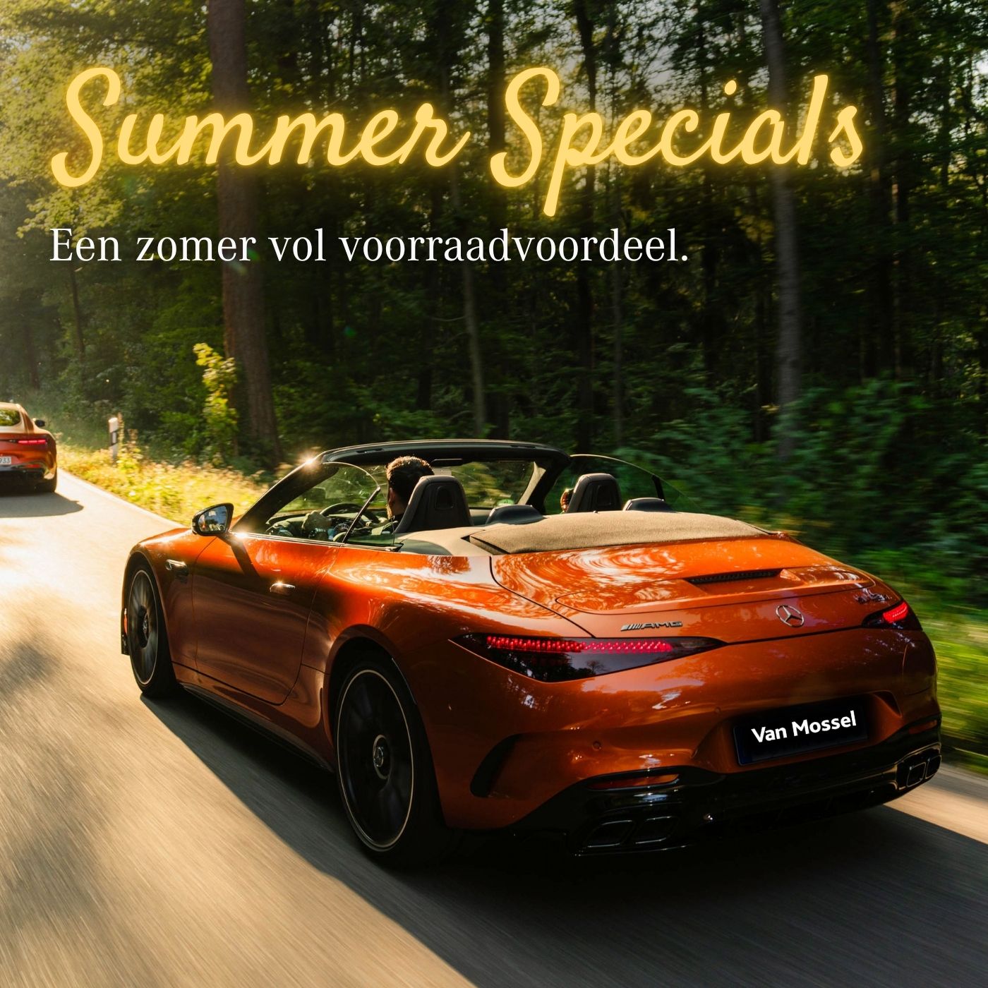 Summer Specials   Hero  (2048 x 1536 px) (1534 x 1023 px) (1400 x 1400 px)