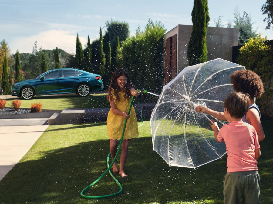 Widget zomer occasion skoda