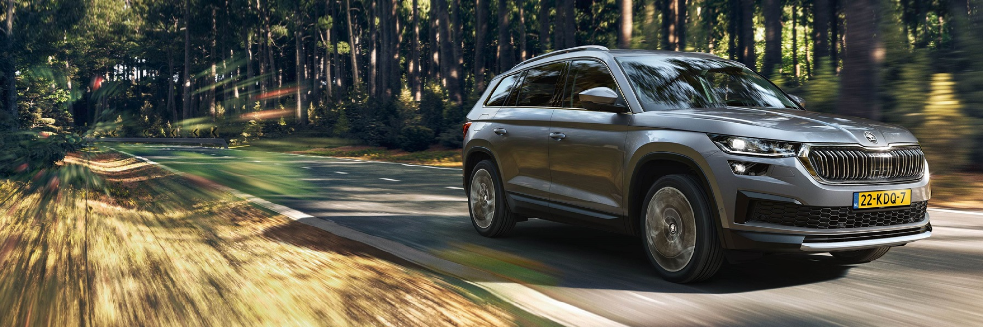 Hero breed KODIAQ