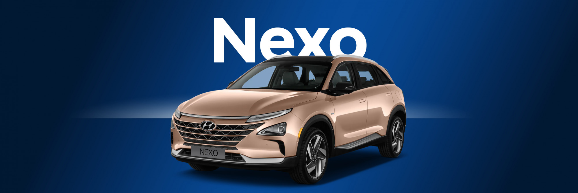 Hero large Hyundai model15