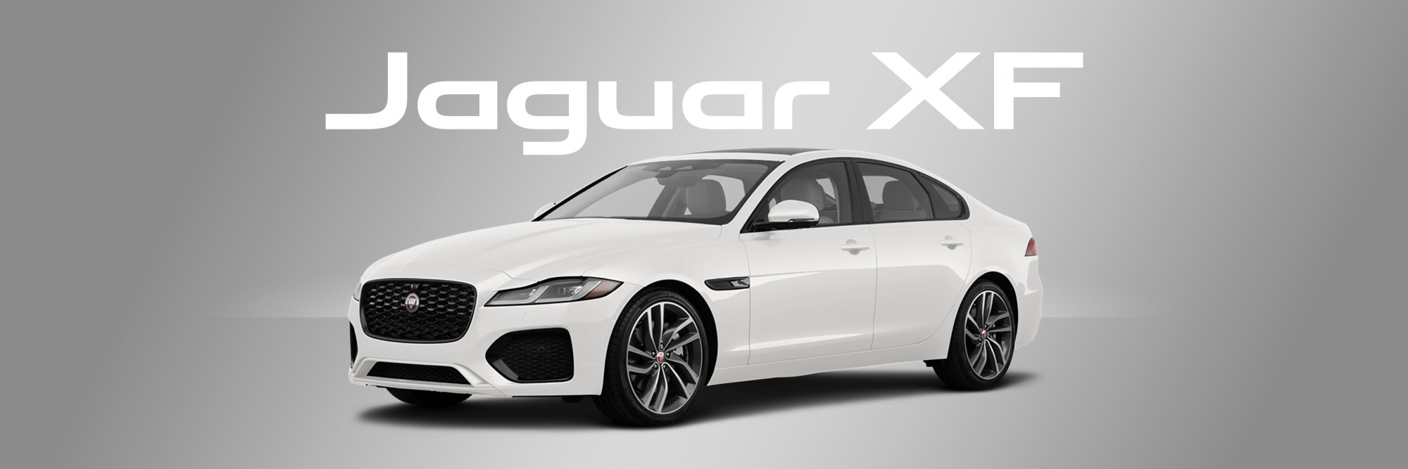 Hero large Jaguar model5 v2