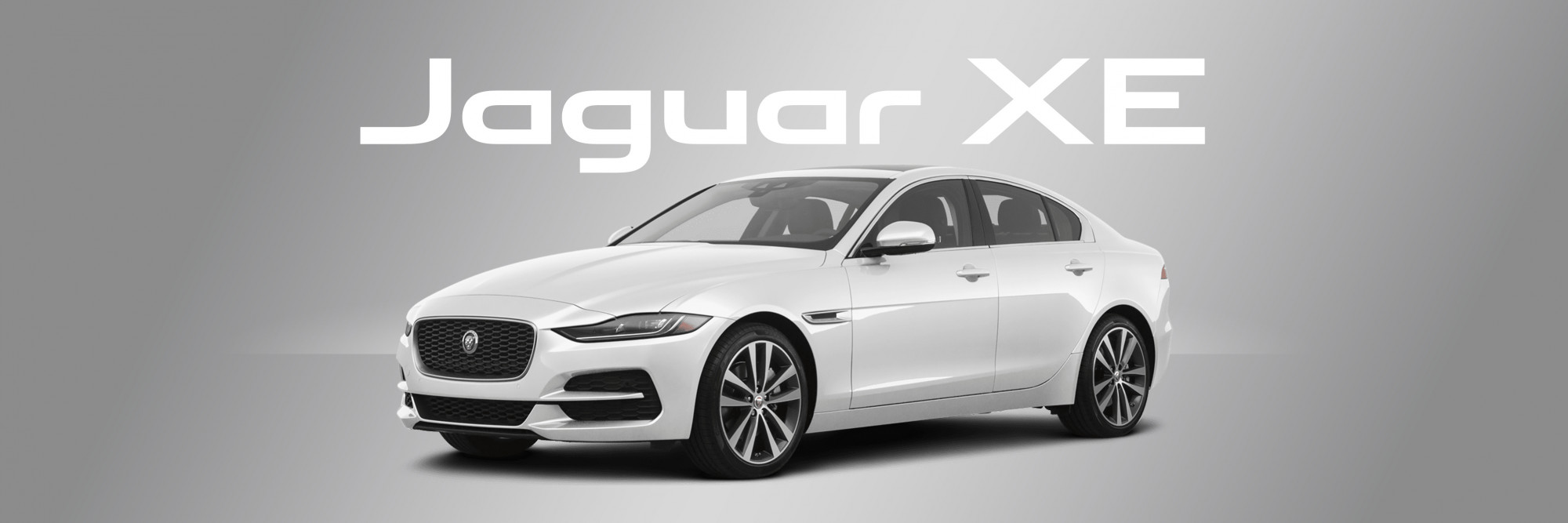 Hero large Jaguar model6 v2