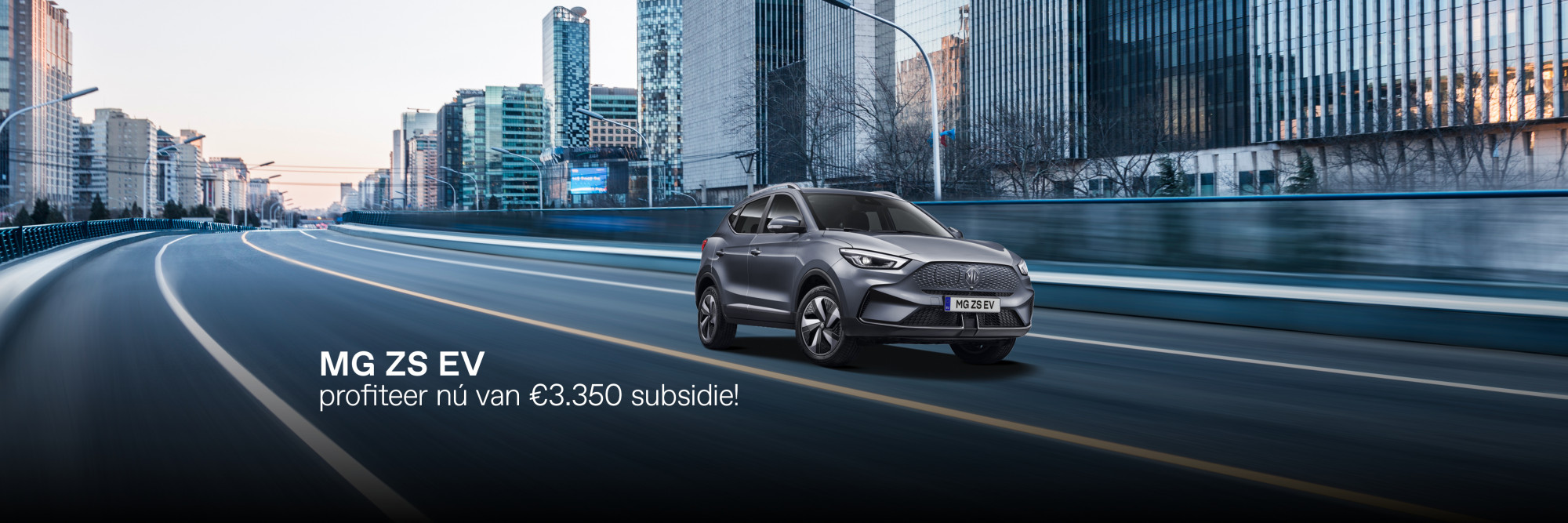 Hero large ZS EV subsidie
