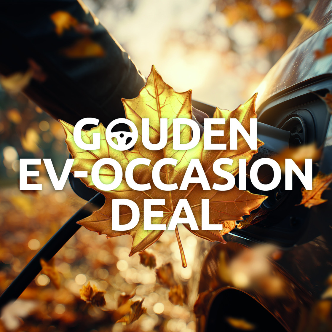 Actieblok Gouden EV Occasion Deal