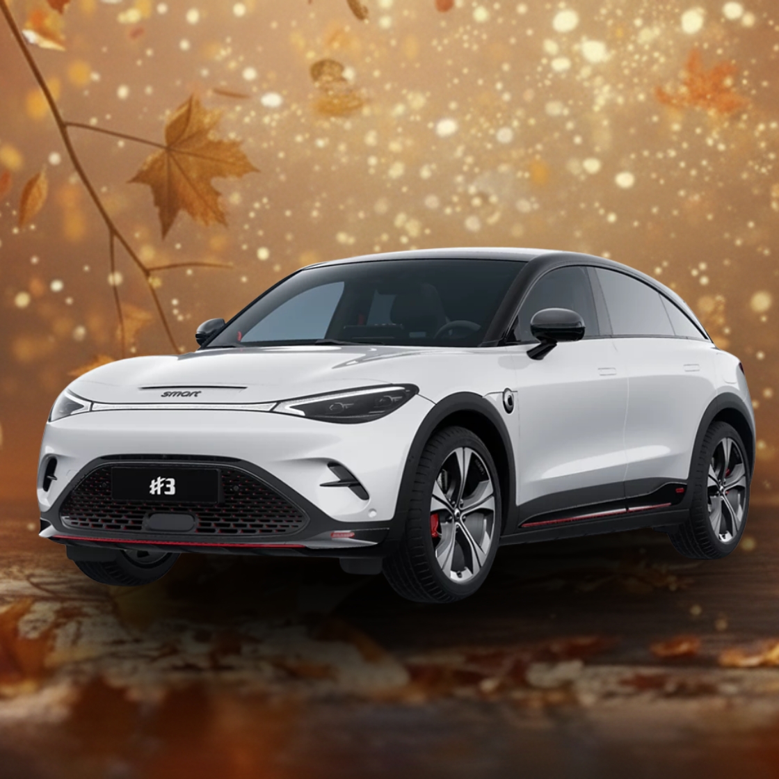 Landingspagina   Gouden Kans Korting   smart #3 (3)