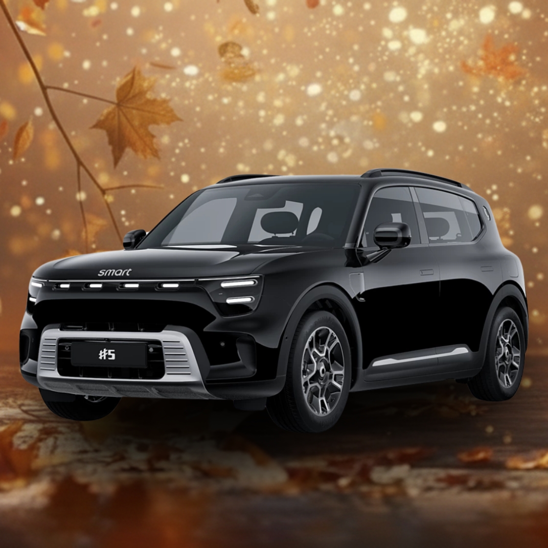 Landingspagina   Gouden Kans Korting   smart #5 (3)