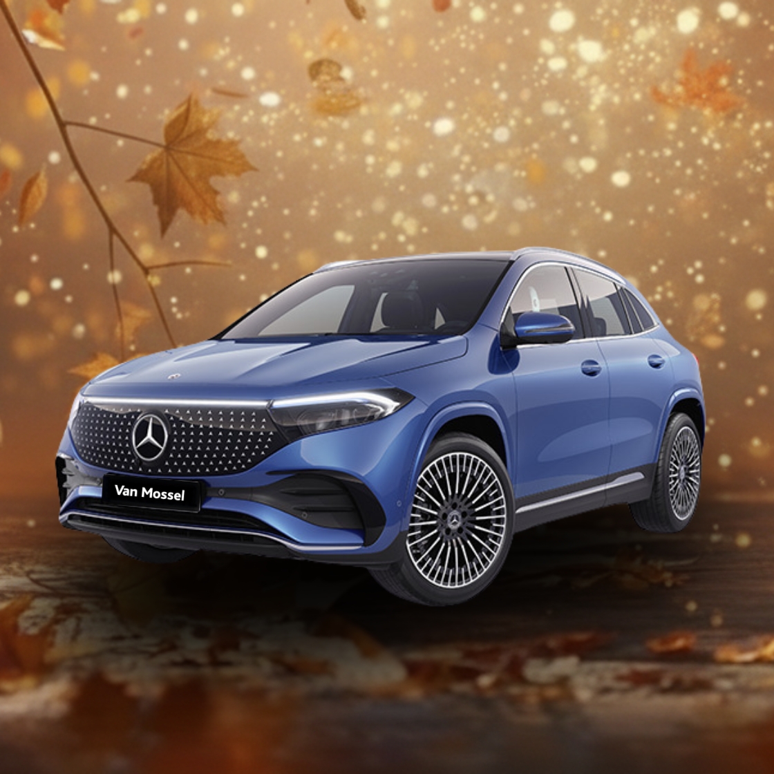 Landingspagina   Van Mossel 3 daagse