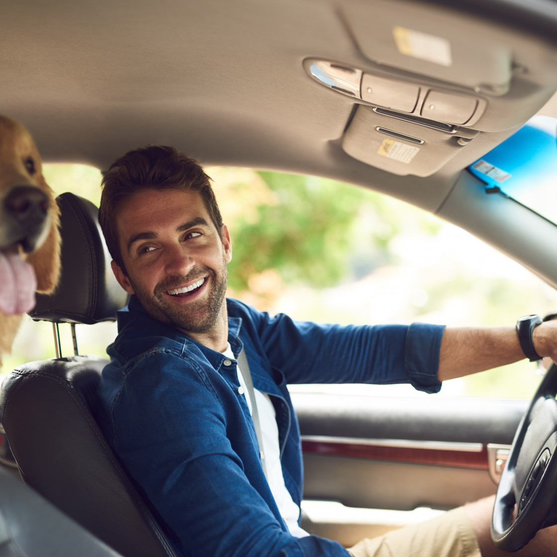 Man and dog in car 