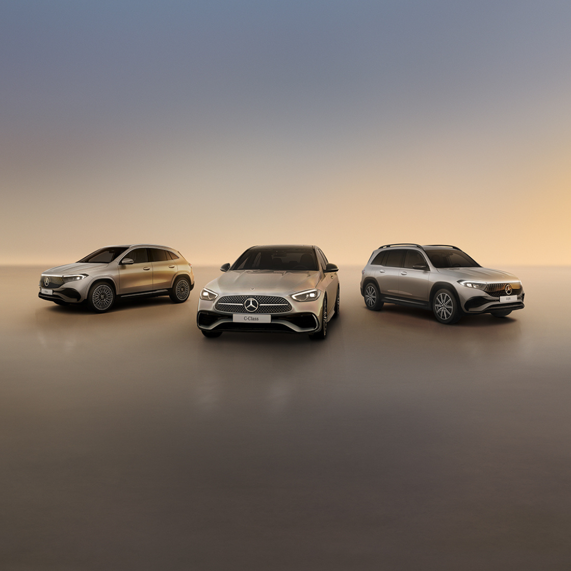 Mercedes Benz Business Solutions (1)