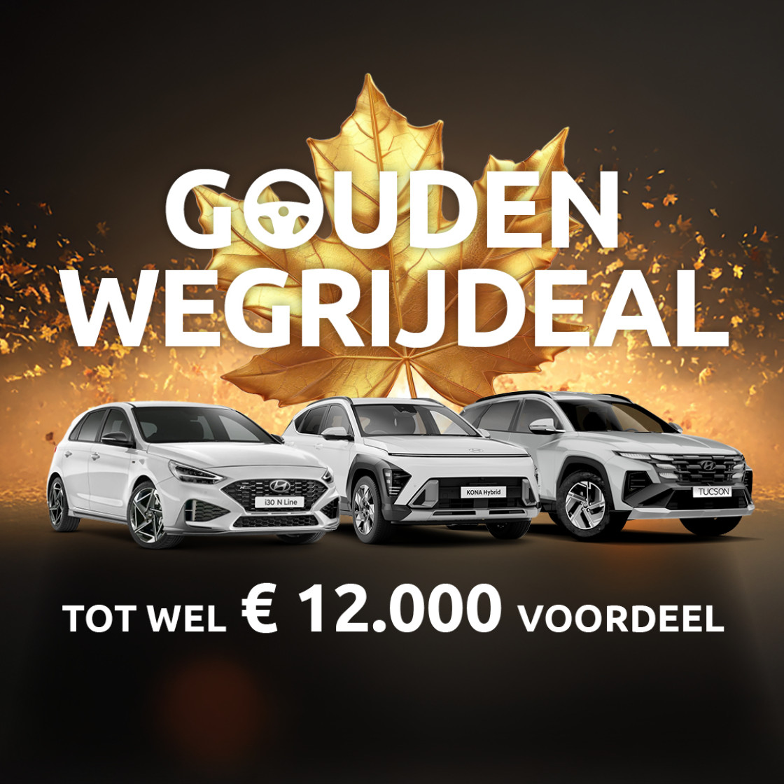 Social Gouden Wegrijdeal