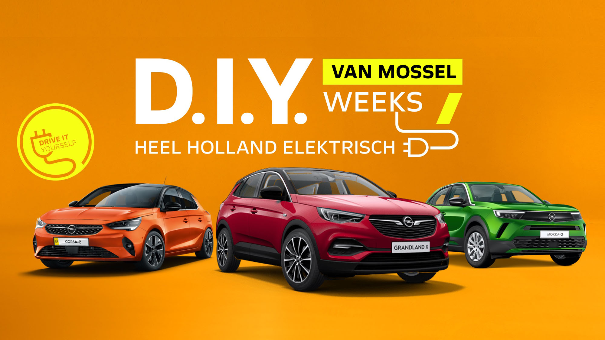 VanMossel DIY Weeks