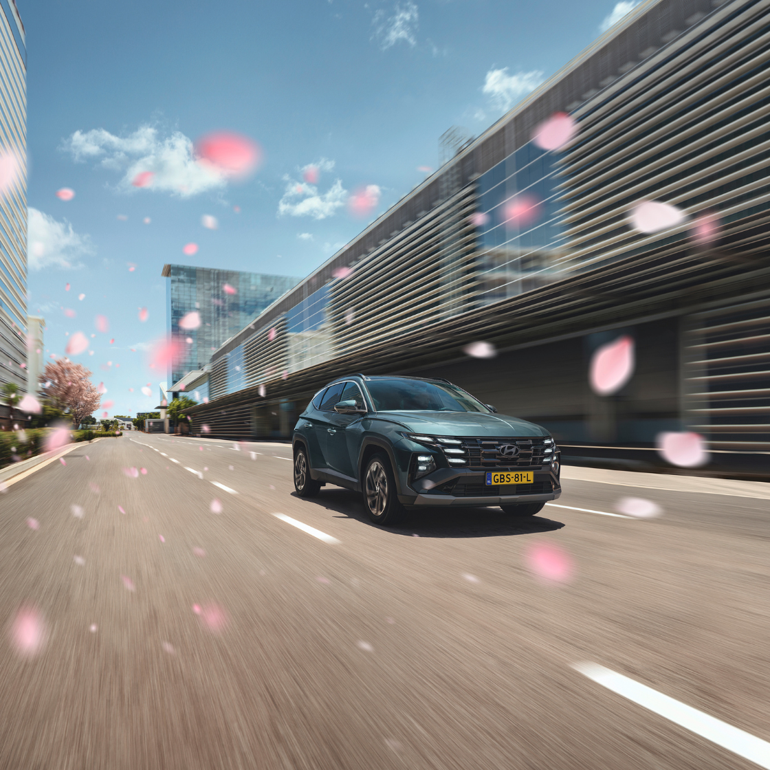 tuson phev d