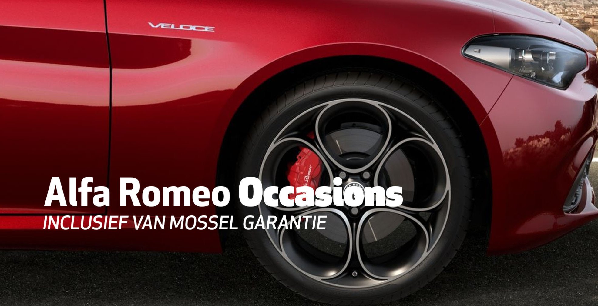VanMossel AlfaRomeo Occasion