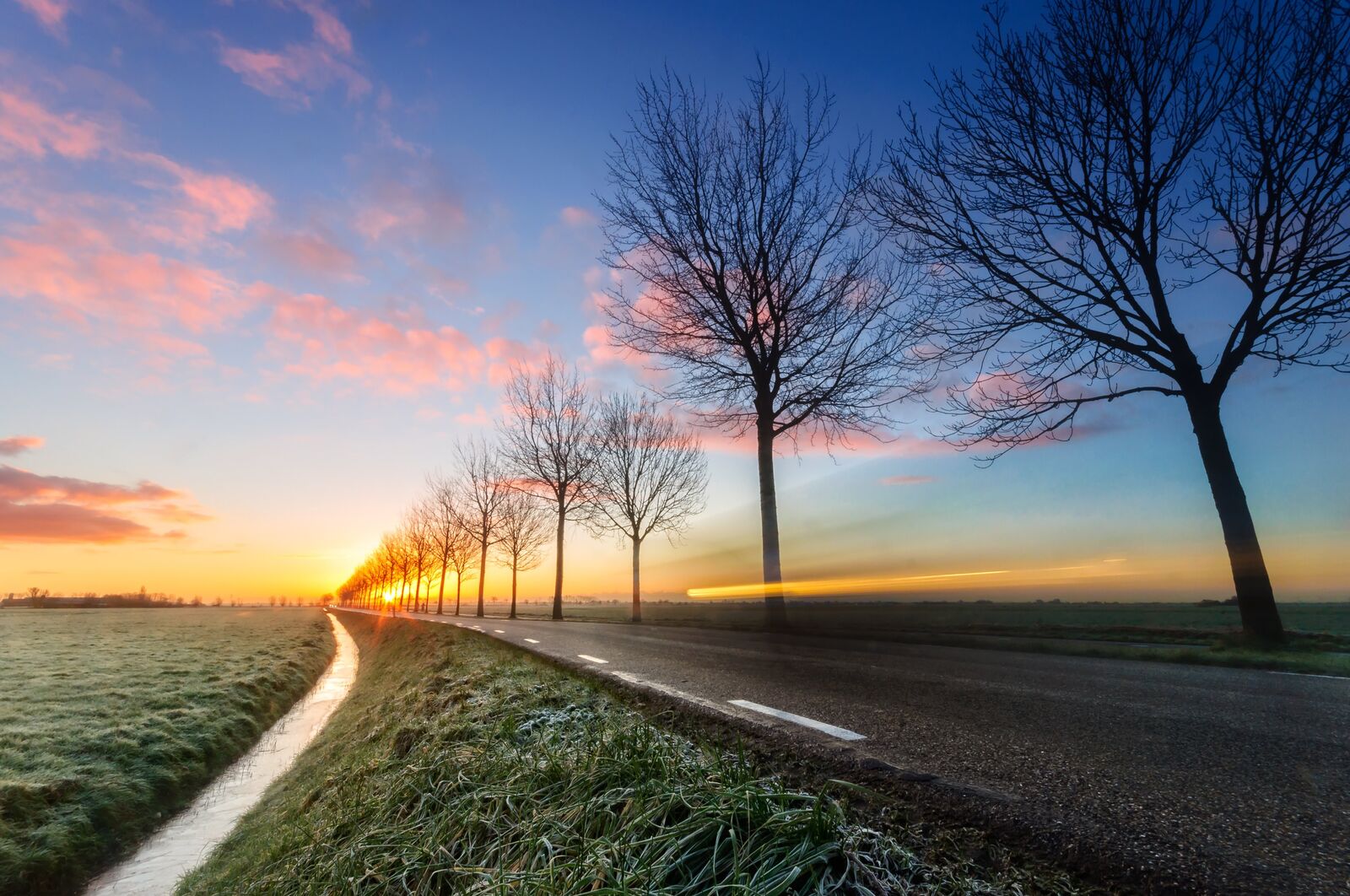 De Nierstichting x Van Mossel Autolease